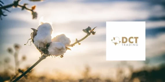 Pardus Portföy, DCT Trading’deki payını %5’in altına indirdi