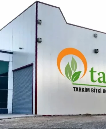 tarkim-large