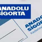 ansgr-anadolu-sigorta-hisse-1744875046