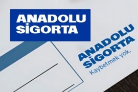 ansgr-anadolu-sigorta-hisse-1744875046